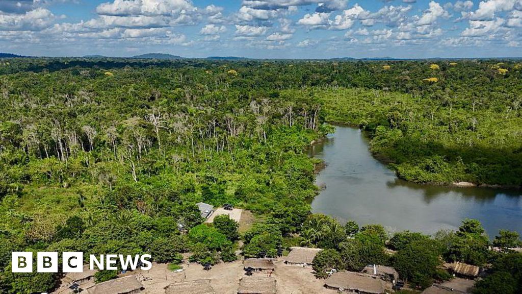 Brazil's Amazon sees sharp decline of area burned in 2025