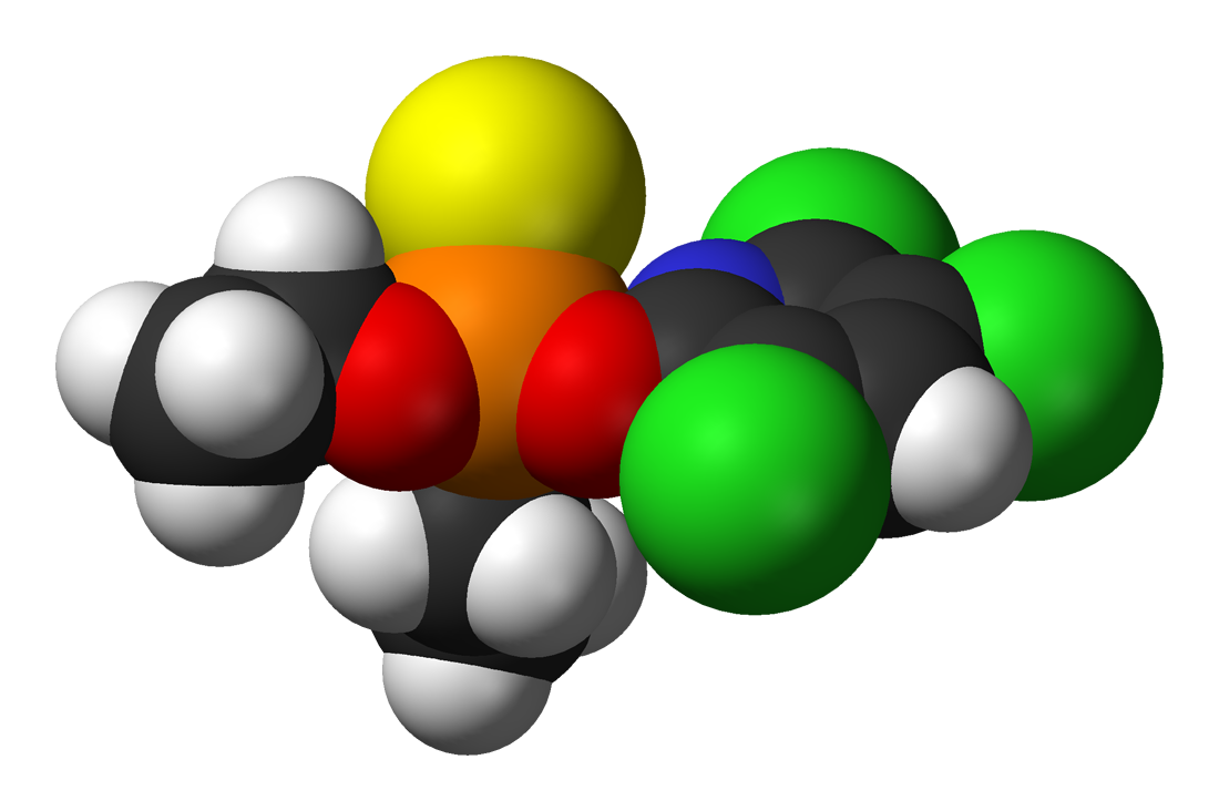 Chlorpyrifos